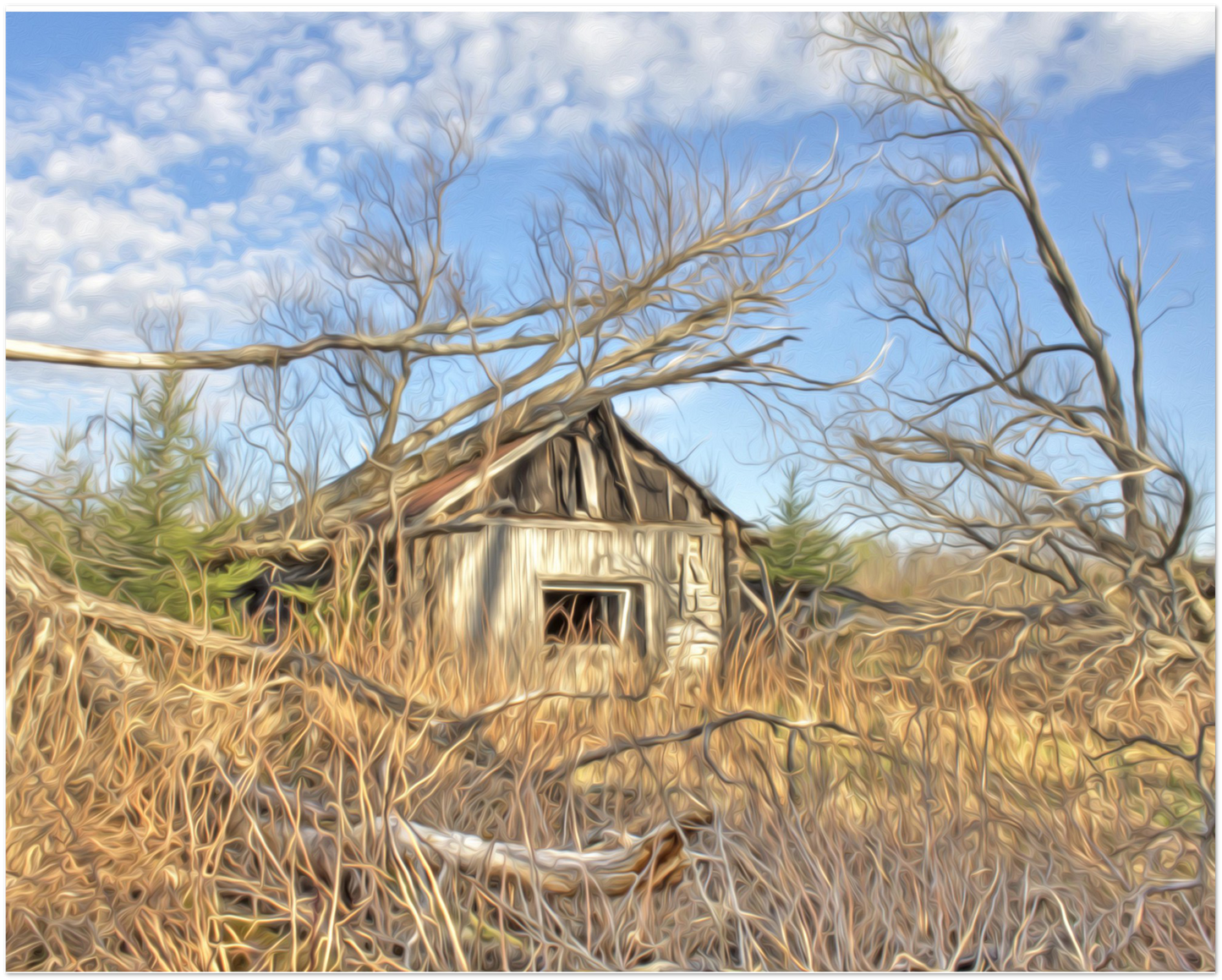The Abandoned Cabin