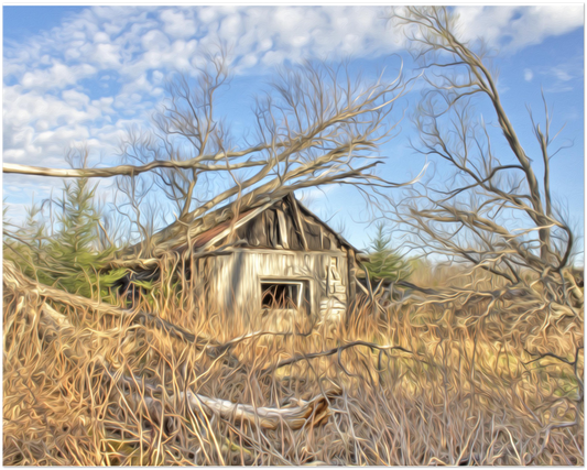 The Abandoned Cabin