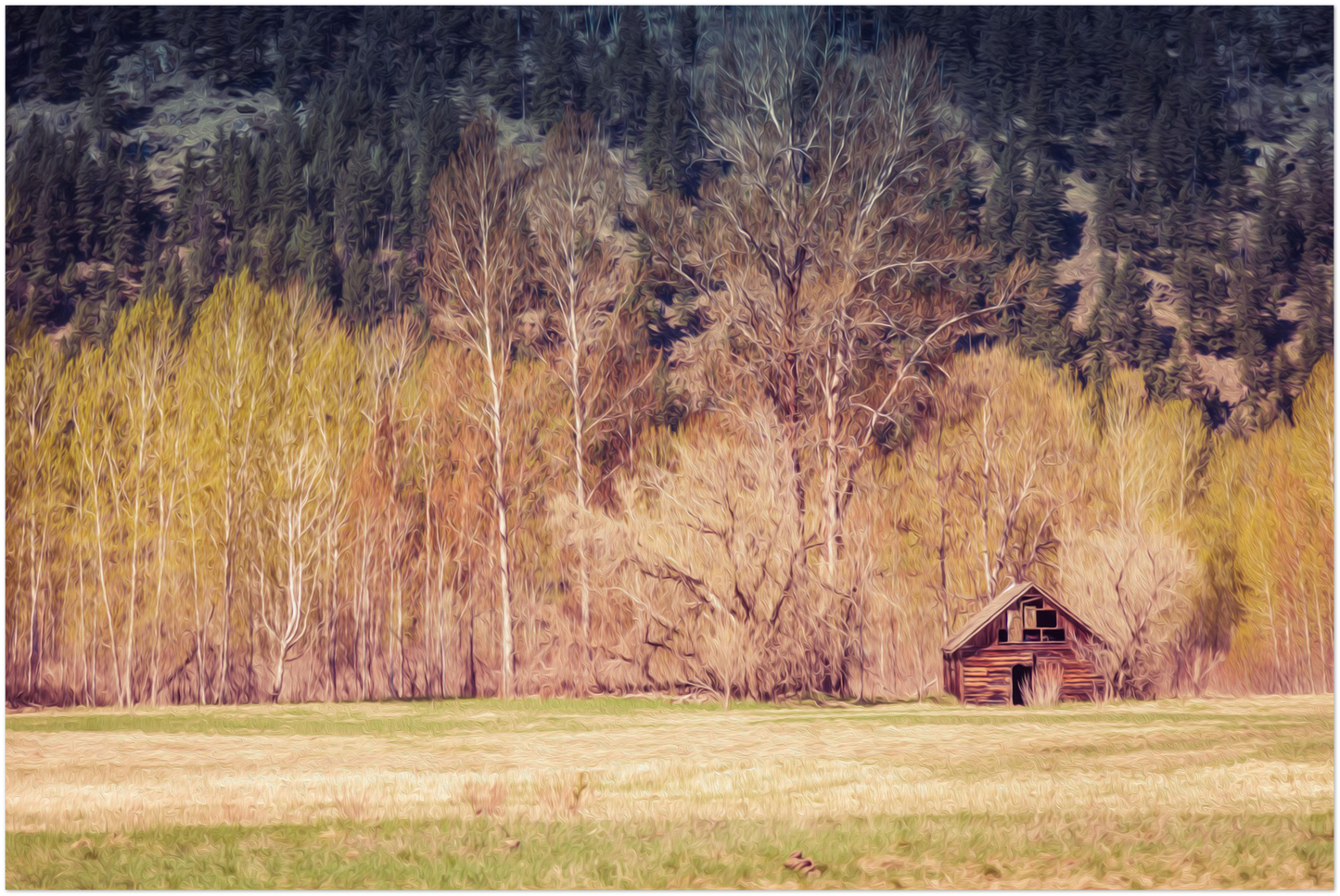 The Cabin in The Woods