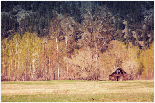 The Cabin in The Woods