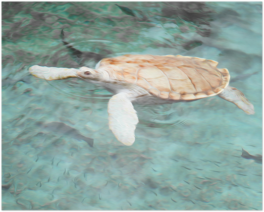 Sea Turtle Breaststroke
